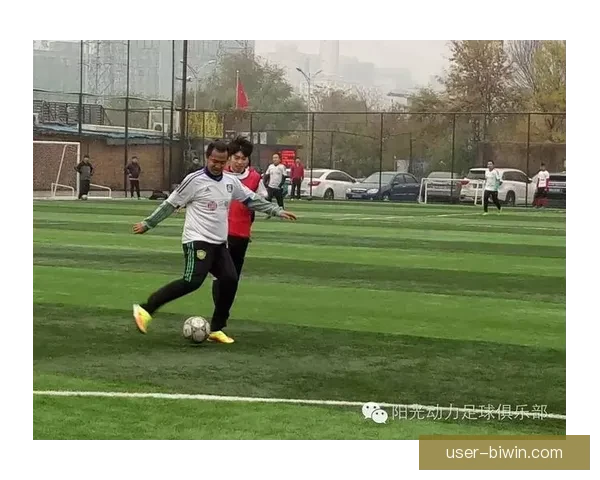 北京足球联赛最新积分榜解析与各队排名走势全面分析