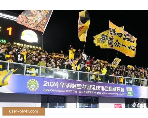 聚焦北京足球队伍数据分析与发展趋势洞察及未来竞争力全面评估
